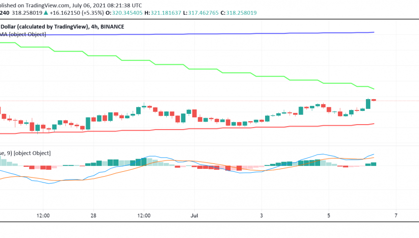 Binance Coin (BNB) Making Big Gains - Ready For an Upswing?