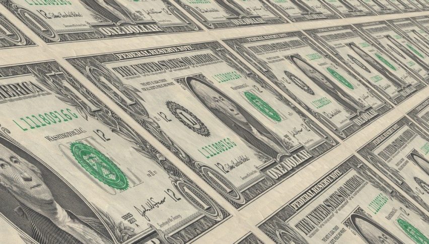 US Dollar Holds Steady, NZD Soars Amid Faster Rate Hike Expectations