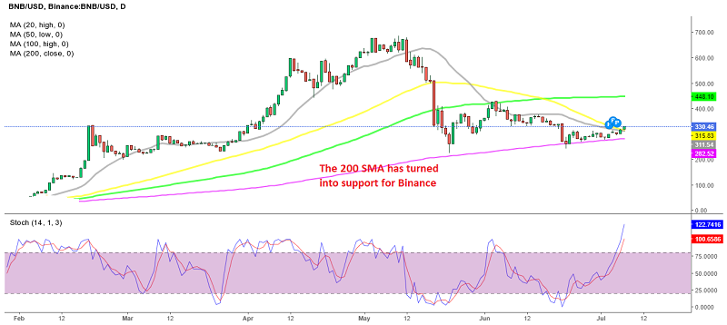 Buyers pushed BNB/USD above the 50 daily SMA