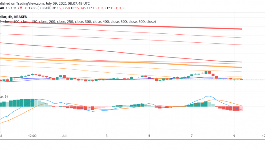 What's Happening With Polkadot (DOT) on Friday?