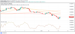 Will the Upcoming Shiba Inu Party Drive SHIB Price Upwards?