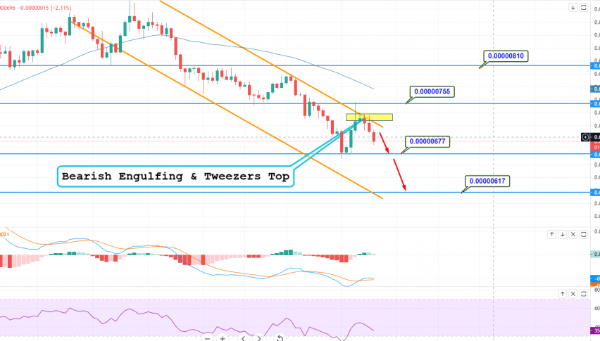 SHIB/USD Chart