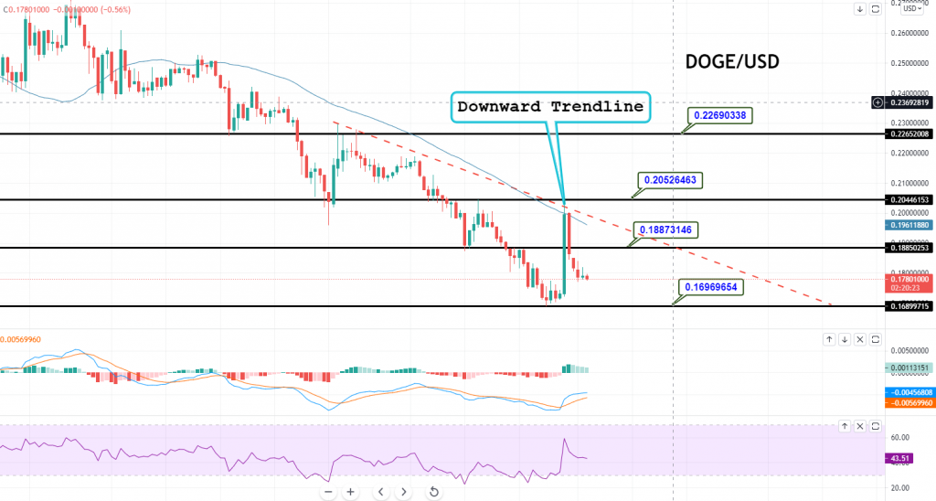 Dogecoin - DOGE/USD Chart