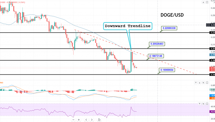Dogecoin - DOGE/USD Chart