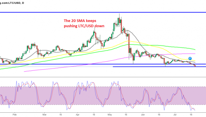 Will Litecoin bounce off the $100 level?