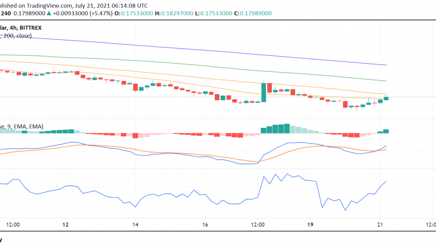 Dogecoin (DOGE) Enjoys a Spike as Musk Changes Twitter Profile Pic