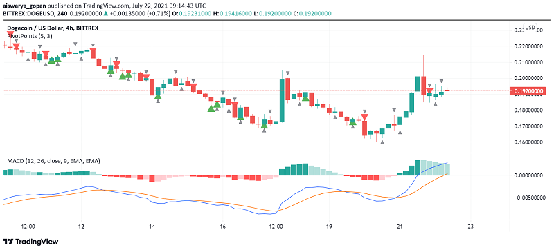 Dogecoin Surges - Musk, Coinbase Commerce Announcement Support