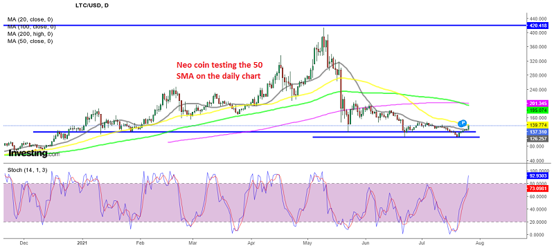 Neo coin has broken above the 20 daily SMA already