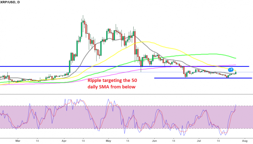 The 20 SMA broke, but the 50 SMA held in the first attempt