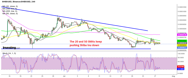 SHIB/USD still down, when most cryptos are bullish