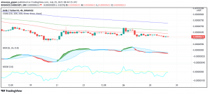 When Will the Downslide in Shiba Inu (SHIB) Turn Around?