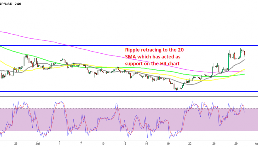 Buy again at the 20 SMA today?