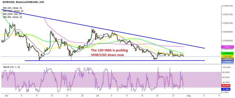 Shiba Inu continues to remain bearish