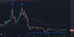 Bitcoin Satoshi Vision (BSV): Temporary Pullback to the 50-day MA?