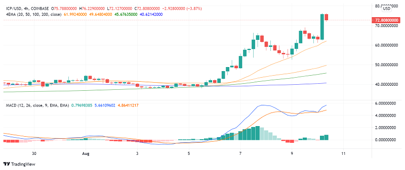 Can We See a Spurt in Internet Computer Protocol (ICP) Price and Adoption Soon?