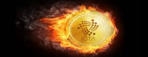 Iota is on fire right now.