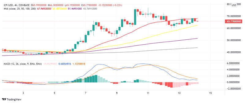 Internet Computer Protocol's Dfinity in Legal Trouble: Lawsuit Alleges Insider Trading?