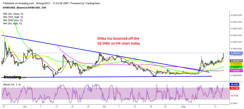 The bullish momentum picks up again today for Shiba Inu coin