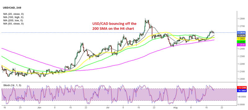 The bullish trend continues for USD/CAD