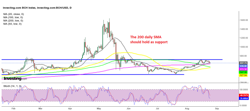 The retreat in Bitcoin Cash seems weak