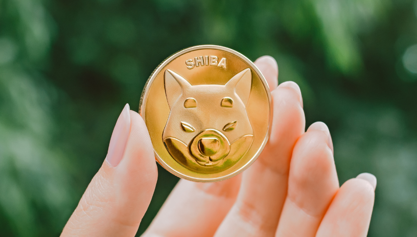 Shiba Inu retreat is making it an interesting investment