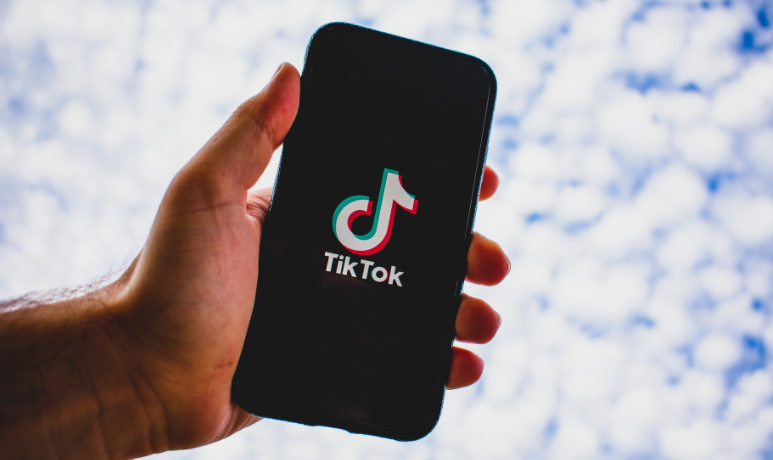 TikTok starts to flag and delete crypto videos.