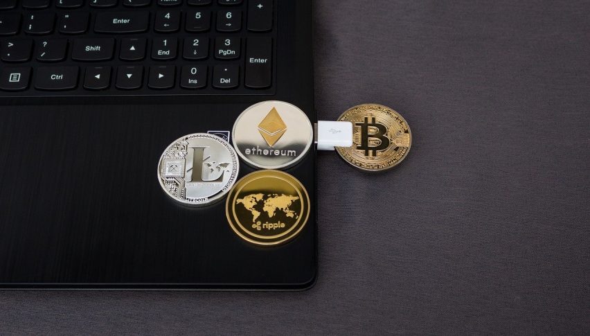 Is MetaMask Planning to Launch a Native Token?