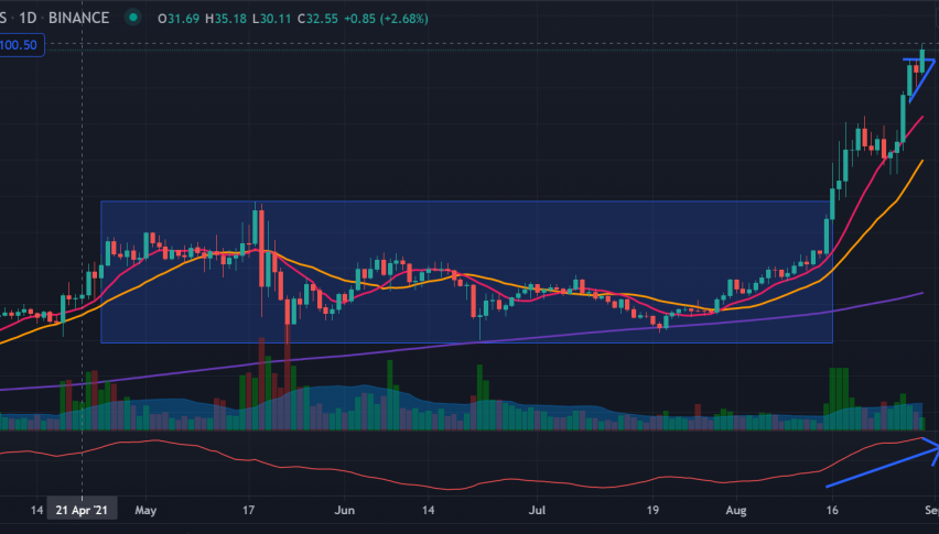 Explosive Momentum for Solana (SOL): Can I still get in on the ride or is it too late?