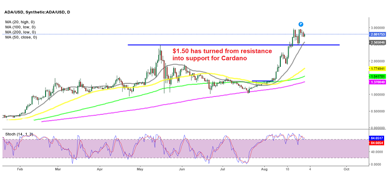 Buyers remain in total control in Cardano