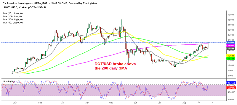 The 20 daily SMA keeps pushing Polkadot higher