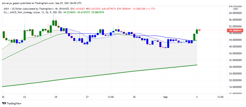 Looking Ahead on Avalanche (AVAX): What to Expect