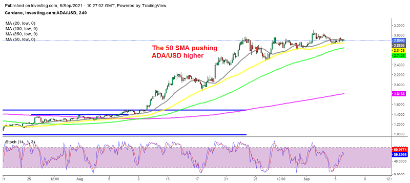 The uptrend is expected to continue further for Cardano