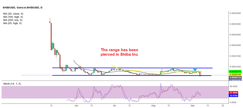 Will the support hold in Shiba Inu coin?