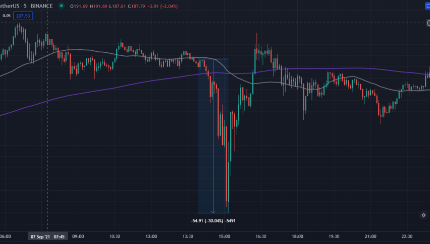 Solana (SOL) Pushes Past 200, Despite the Crypto Flash Crash