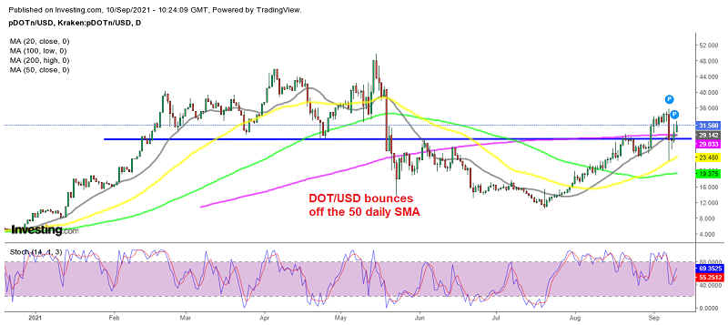 Polkadot didn't wait long to turn bullish