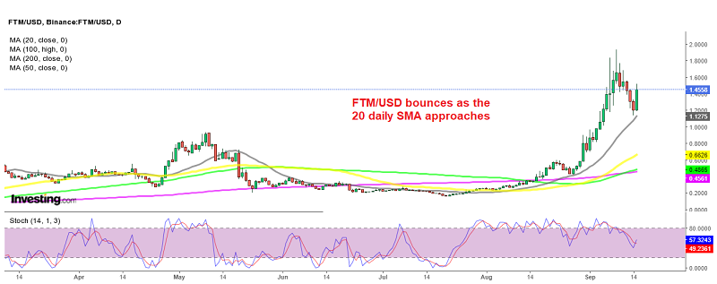 Fantom is looking bullish again suddenly after the retrace down