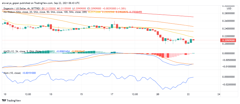 Is It Time to Turn Bullish About Dogecoin (DOGE)?