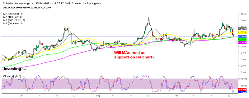 The pullback is complete, as stochastic indicates