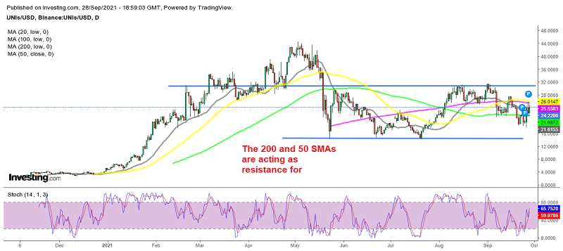 Waiting for the bullish trend to resume in Uniswap