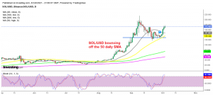 Has Solana resumed the bullish trend?