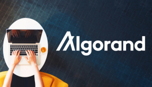Algorand facing support as it looks to build Ethereum bridge