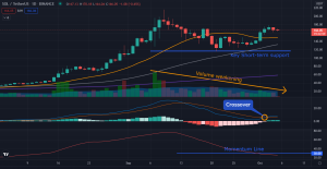 Solana (SOL) Showing Strength as it Gains 50+% in Two Weeks