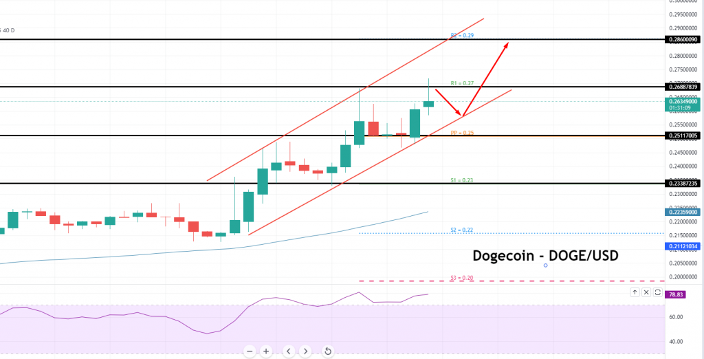 Dogecoin - DOGE/USD Chart