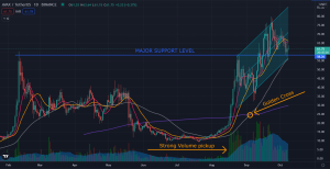 Are We Going to See a Landslide Soon from Avalanche (AVAX)?