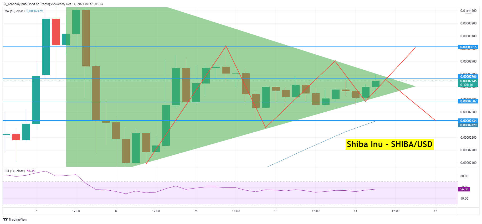 Shiba Inu (SHIB) Price Analysis