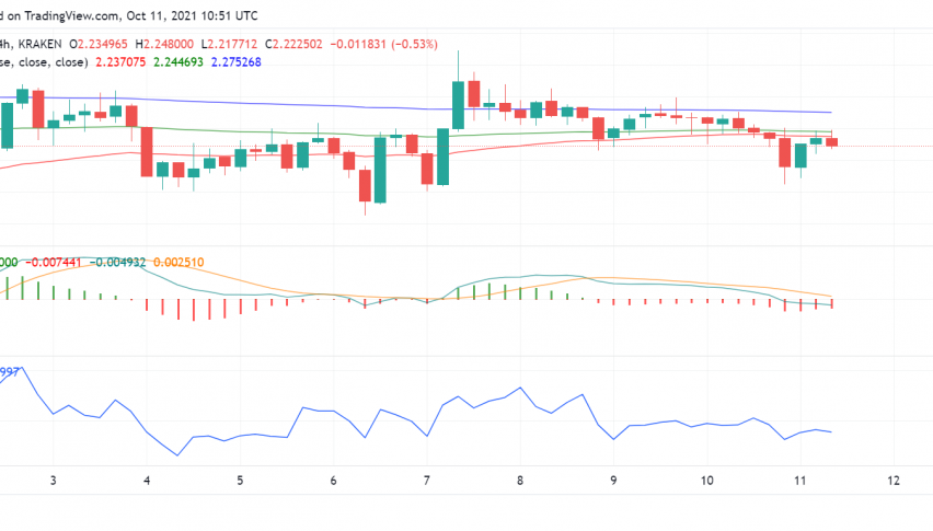 Cardano (ADA) Price Right at Pivot Point: Which Way Next?