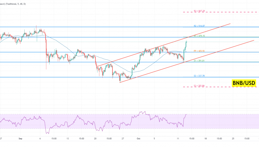Binance Coin Price Analysis