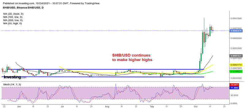 Shiba Inu might make another surge higher soon