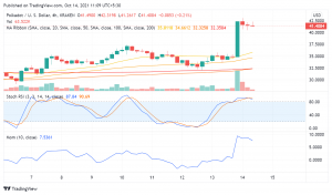 Polkadot (DOT) Still Surging Ahead After Announcement of Parachain Auctions