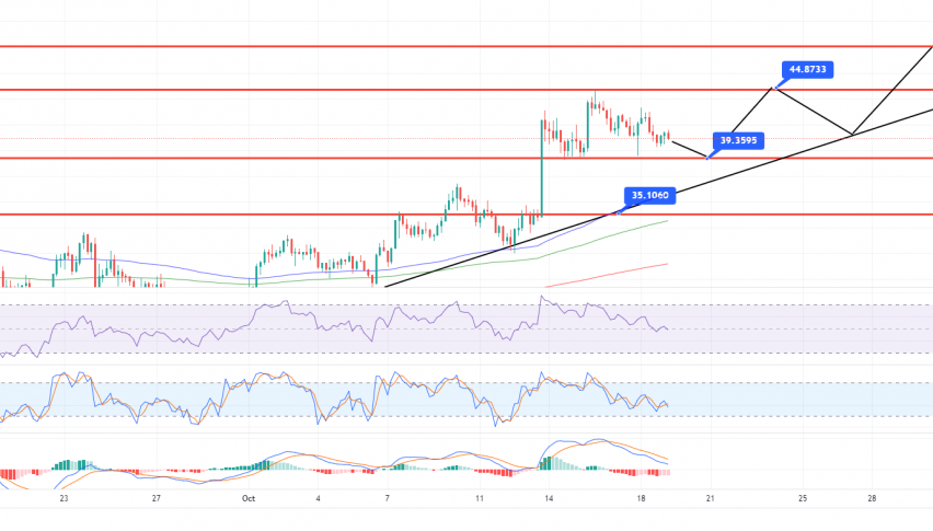 DOT Price Analysis